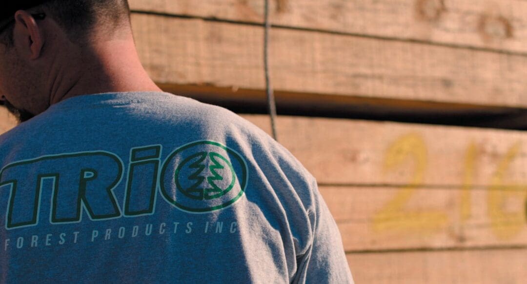 The Current Lumber Market Is Underbought: January 2023