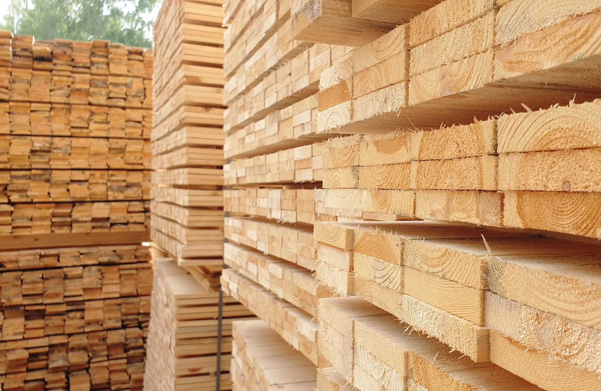 Lumber up close