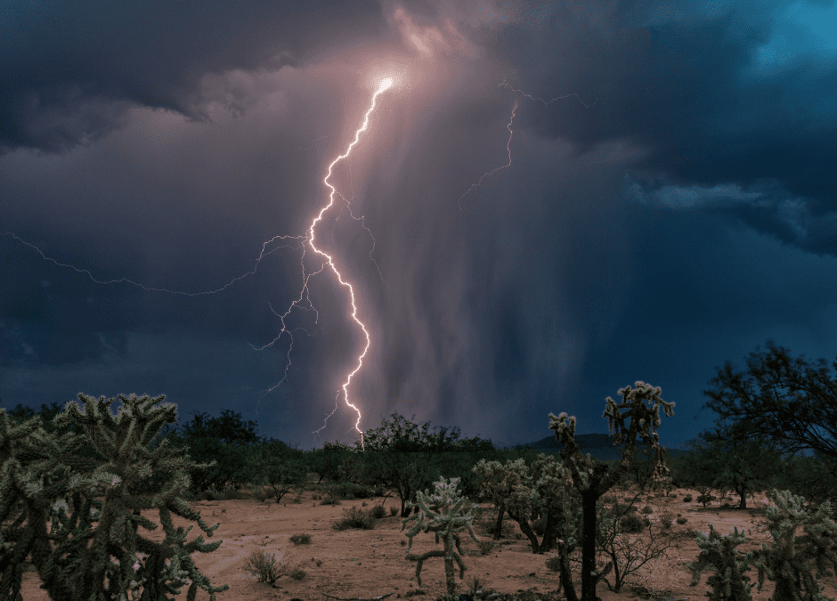 Monsoons, Moisture and Mold